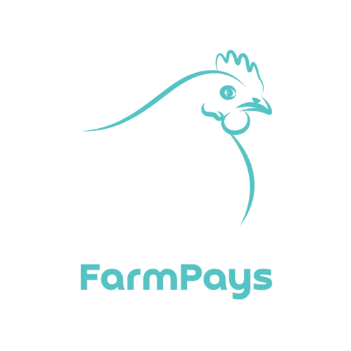 Introducing FarmPays GH: Your Gateway to Lucrative Poultry Investments